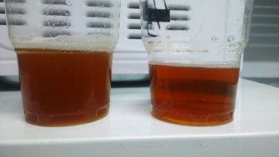 IMAG1059.jpg