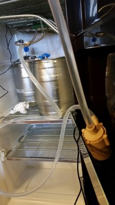 cleaning.jpg