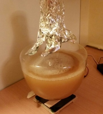 2016-08-20 20.52.32.jpg