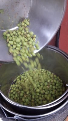 testttt220160924_141534.jpg