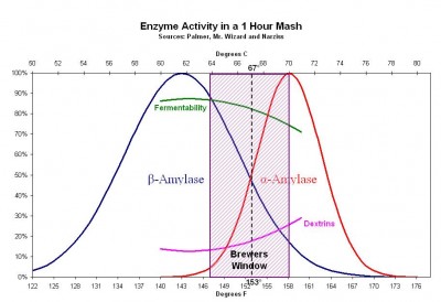 enzyme_activity_one_hour_mash-2.jpg