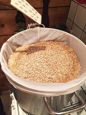 malt.jpg