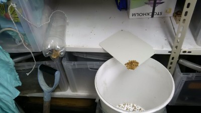 IMG_20180204_130058.jpg