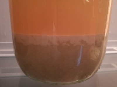 jästslurry2.jpg