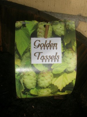 Golden Tassels hade en fin etikett med i paketet.