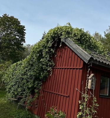 cascadebusken
