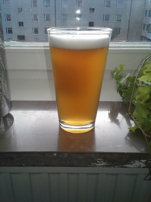 Citra ale.jpg